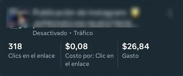 Captura real: 318 clics a $0,08 cada uno